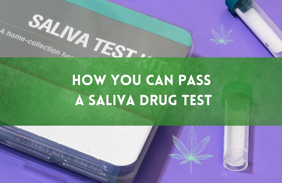 How You Can Pass a Saliva Drug Test.png